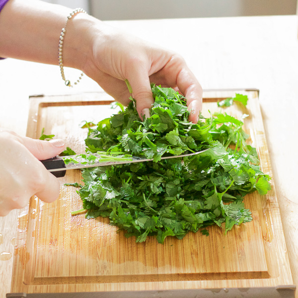 cilantro herb soup